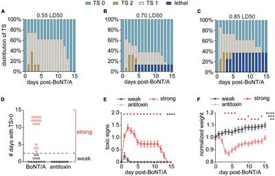 Neuromuscular recovery from botulism involves multiple forms of compensatory plasticity